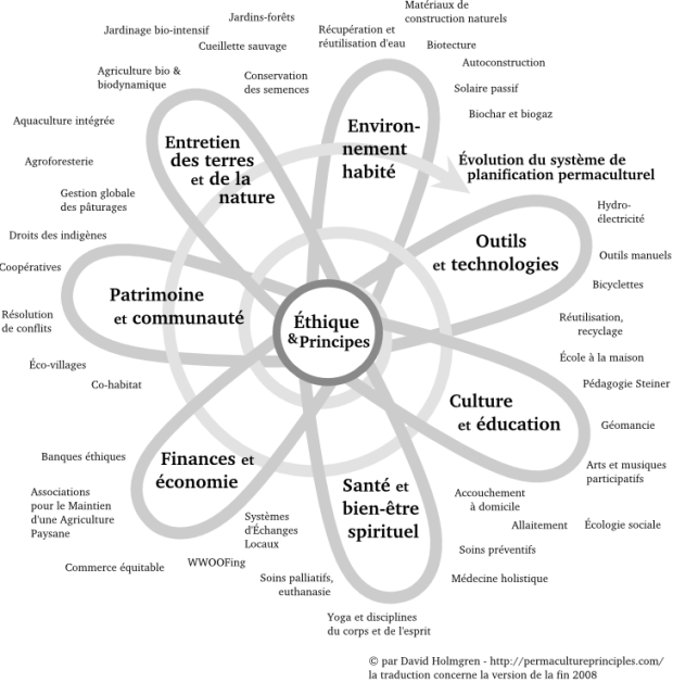 fleur-permaculture1